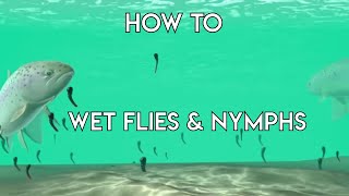 Using Wet Flies amp Nymphs  How To [upl. by Studnia276]