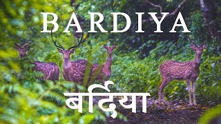 Bardiya National Park बर्दिया राष्ट्रिय निकुञ्ज  S01E01  Visit Nepal 2020 [upl. by Candra59]