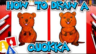 How To Draw A Quokka Wallaby [upl. by Laerol]