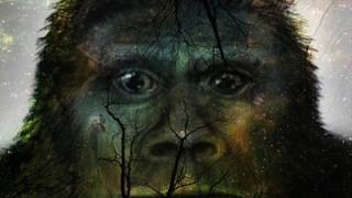 THE SASQUATCH MESSAGE TO HUMANITY [upl. by Eirrab]