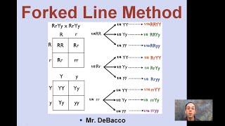 Forked Line Method [upl. by Kenney270]