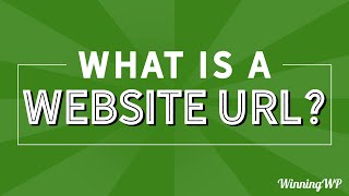 What Is A Website URL [upl. by Nosde]