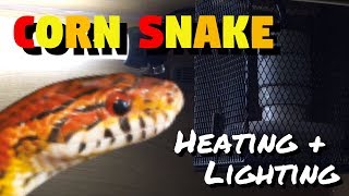 Corn Snake Heating And Lighting ARCHIVED [upl. by Zannini]