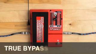 DigiTech Whammy Demo Video with Jonni Lightfoot [upl. by Ecnarf]