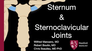 Sternum and Sternoclavicular Joints  Wilfred Manzano MD [upl. by Nwadrebma]