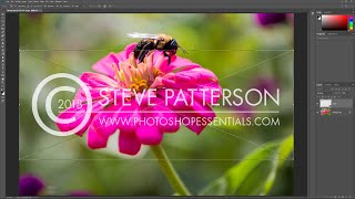 How to Watermark Photos in Photoshop [upl. by Dearman]