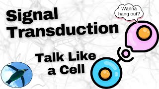 Basic Signal Transduction Ligands and Receptors [upl. by Morgan]