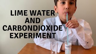 Lime water and carbon dioxide Experiment [upl. by Yarb]