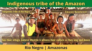 Brazil Travel  Indigenous tribe of the Amazon [upl. by Publea]