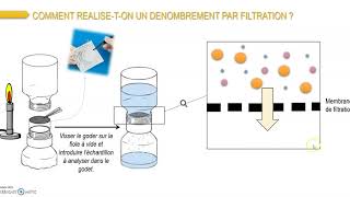 1STLLa filtration sur membrane [upl. by Anilyx]