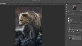 3 Ways to Add a Watermark to Your Photos in Photoshop CC [upl. by Anelet]