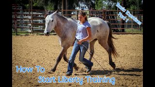 How To Start Liberty Training With Your Horse Basic Exercises Part 1 [upl. by Eus]