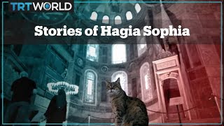 Stories of Hagia Sophia [upl. by Ring]