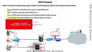 DHCP Snooping Explained [upl. by Eseerehs]