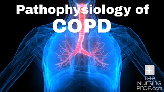 Pathophysiology of COPD [upl. by Kinsler]