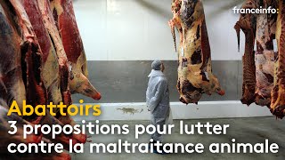 Abattoirs  3 propositions pour lutter contre la maltraitance animale  franceinfo [upl. by Einattirb541]