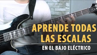 Aprende TODAS LAS ESCALAS en el Bajo en 9 Minutos  Tutorial [upl. by Patrich]