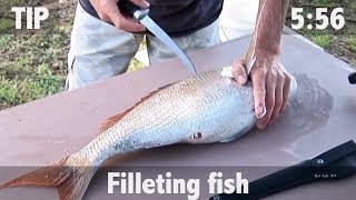 How to Fillet Fish [upl. by Aidole]