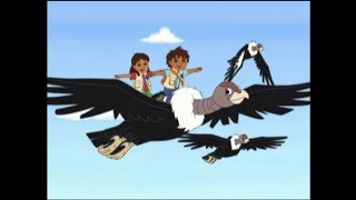 Go Diego Go  Three Little Condors [upl. by Trant]