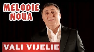 Vali Vijelie si Stelu Pandelescu  Sotia mea frumoasa NOU 2019 [upl. by Enelear]