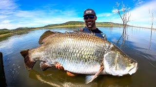 My biggest freshwater fish EVER Barramundi fishing [upl. by Pittel]