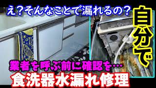 自分で食洗器水漏れ修理 予想外の原因発見 業者を呼ぶ前に確認した方がイイかもしれません リンナイ RKW404 How to repair the dishwasher [upl. by Alilak481]