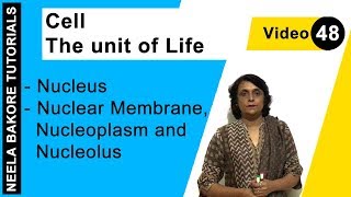 Cell  The unit of Life  NEET  Nucleus  Nuclear Membrane Nucleoplasm and Nucleolus  Dr Bakore [upl. by Alleinnad]