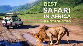 Travel in 2021 Safari in Tanzania Ngorongoro [upl. by Niatsirk919]