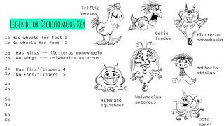 Making a Dichotomous Key [upl. by Encrata755]