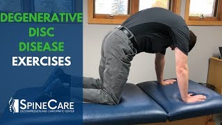 Degenerative Disc Disease Exercises  SpineCare St Joseph MI Chiropractic [upl. by Ayardna]