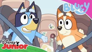 🚗 Przejażdżka z tatą  Blue  Disney Junior Polska [upl. by Ferrand]