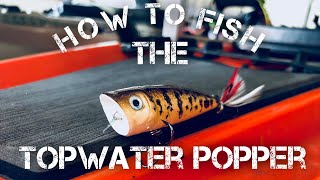 How to Fish a Topwater Popper  Bass Fishing [upl. by Rotkiv]