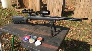 Benjamin Maximus 22 Cal Air Rifle Test Review [upl. by Scandura]