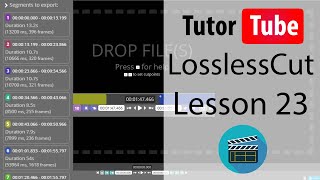 LossLessCut Tutorial  Lesson 23  Separate Audio and Video by using Extract All Streams [upl. by Adnamar]