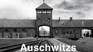 Reportage Auschwitz Camp De La Mort [upl. by Enirod936]