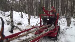 Järnhäst i skogen Jagamedhassese [upl. by Edrea418]