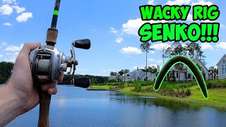 EPIC Wacky Rigged SENKO Bass Fishing  Bass Fishing With Senkos [upl. by Arny]