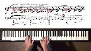 SaintSaëns quotThe Swanquot PIANO A Siloti  Free Practice Score [upl. by Bertilla]