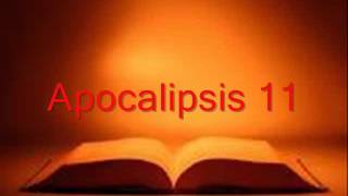 APOCALIPSIS completo Biblia hablada RV 1960 [upl. by Stacey]