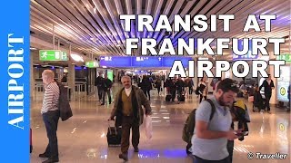 TRANSIT WALK AT FRANKFURT Airport FRA Terminal 1  Connection Flight Transfer Arriving amp Departing [upl. by Enicnarf782]