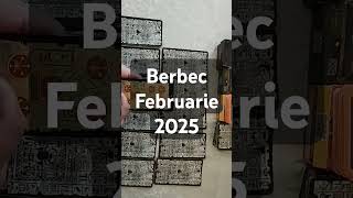 Berbec Februarie TAROT 2025 [upl. by Crosby]