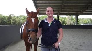 How to Use Side Reins  Horse Training Tips with Deanna Corby Dressage [upl. by Nara615]