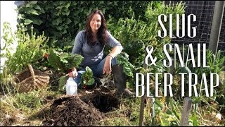 How to STOP Slugs amp Snails  Make a Beer Trap [upl. by Carley643]