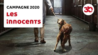 Les Innocents  Campagne Fondation 30 Millions dAmis 2020 [upl. by Tildie]