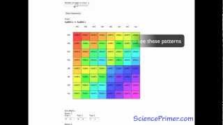 Punnett Square Calculator Overview [upl. by Maram797]