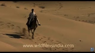 Indias Thar Desert in Rajasthan [upl. by Branham]