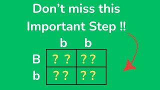 Punnett Squares the basics [upl. by Sonitnatsnok]